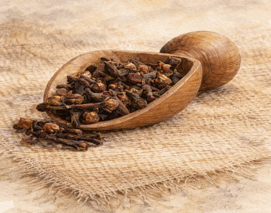 Clove spice – dried aromatic clove buds