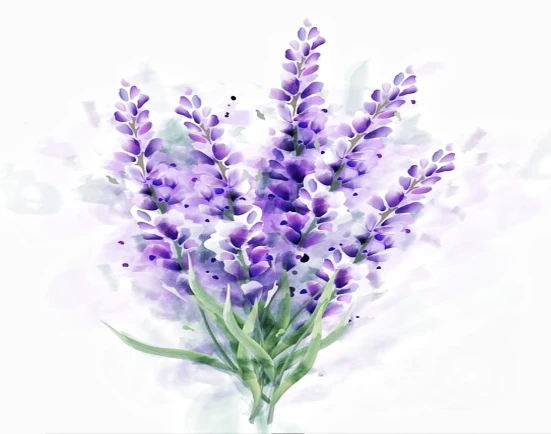 Lavender floral essential oil image