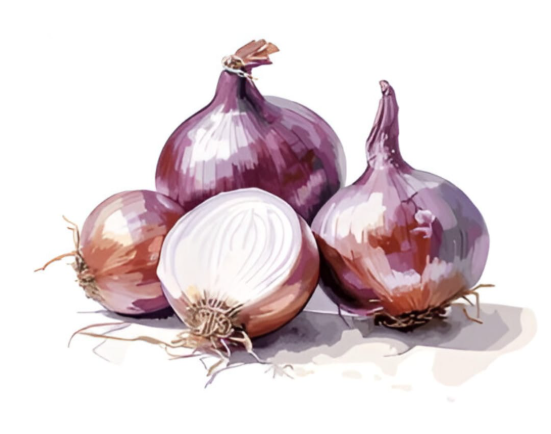 Dehydrated onion powder sliced and chopped onion vegetable from India