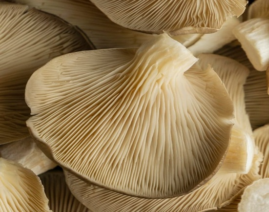 Other Grocery Products