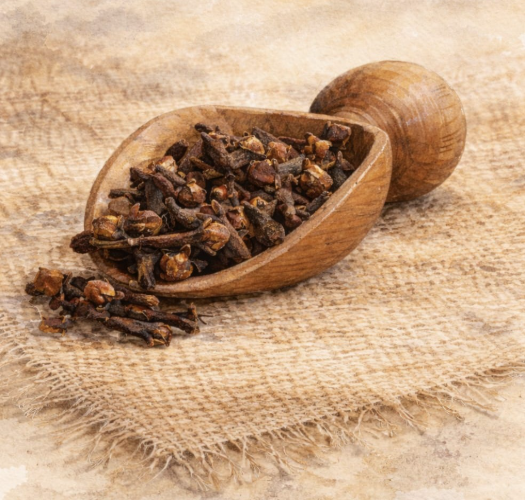 Clove essential oil extracted from dried clove buds