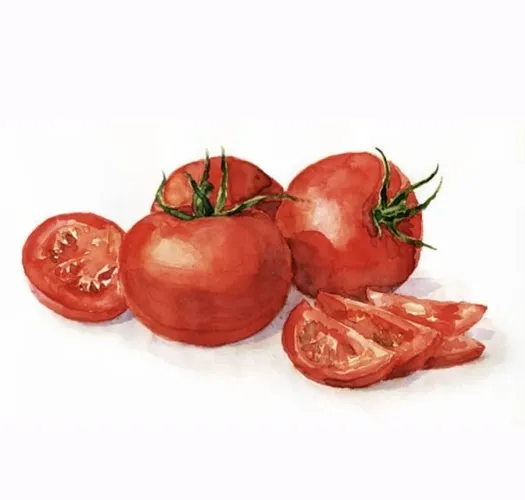 Tomato vegetable product in powder, sliced, and chopped forms
